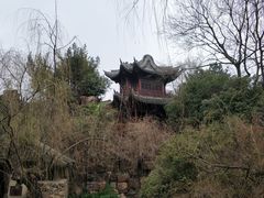 -水绘园