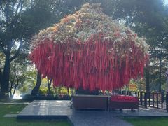 -狼山风景名胜区