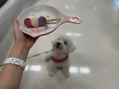 -帕帕拉兹宠物(亚洲旗舰店)