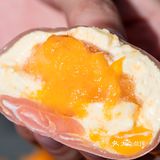 泽田本家· 爆汁珍珠大福