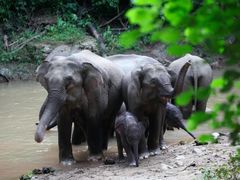 -西双版纳融创皇冠假日度假酒店