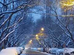 -国宾酒店-花园咖啡自助餐厅(北营房中街店)