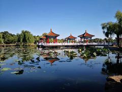 -长春市南湖公园