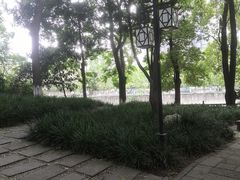 -成都市活水公园