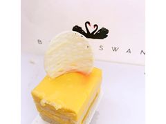 -BLACKSWAN黑天鹅(环球店)