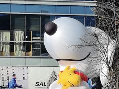 -中粮·祥云小镇