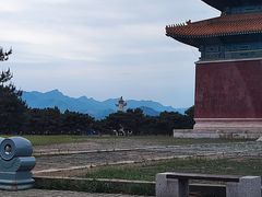 -清东陵