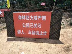 -长虫山生态公园风景林