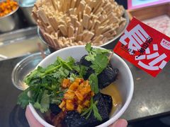 长沙臭豆腐-黑色经典臭豆腐·湖南特产(坡子街店)