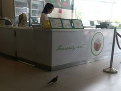 -Co+Nut+Ink(圣淘沙店)