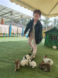 -萌宠亲子动物乐园(槐房万达店)