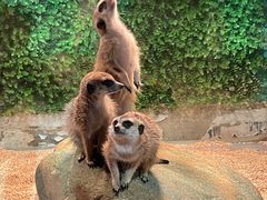 -常州海昌海洋探索馆