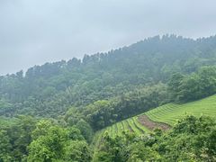 -敬亭山风景名胜区