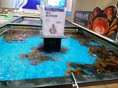 水产区-盒马鲜生(王府广场店)