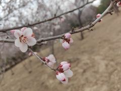 -绿堤公园
