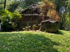 -晓港公园