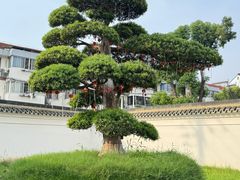 -西林禅寺