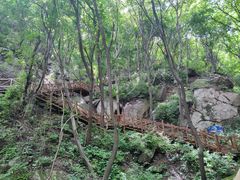 -大岭沟猕猴桃谷风景区