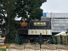 -禄婶鸡煲·打边炉