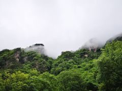 -青峰峡国家森林公园