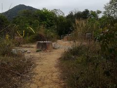 -黄埔油麻山森林公园
