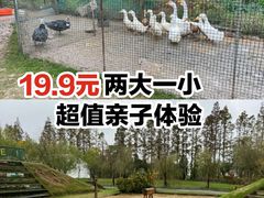 -前小桔亲子创意农场·草莓采摘·露营烧烤