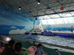 -秦皇岛乐岛海洋王国