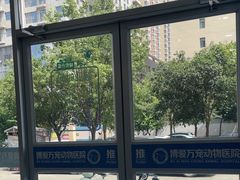 -天使宠物医院·犬猫分诊(彩虹店)