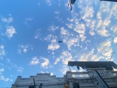 -白鹿原·白鹿仓