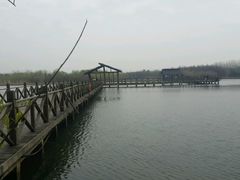 -溱湖国家湿地公园