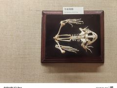 -广东省博物馆