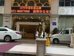 -维也纳国际酒店(深圳新洲店)