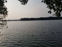 -东湖落雁景区