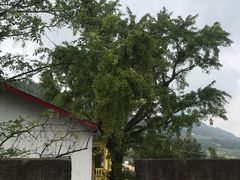 -金堂县云顶石城风景区