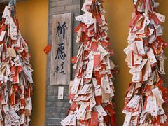-天龙宝严素食馆(大兴善寺店)