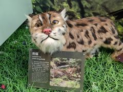 -房山世界地质公园博物馆