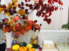 -echoes coffee回响咖啡(红山店)