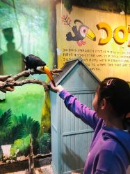 -Zoolung Zoolung动物主题公园(海信广场店)