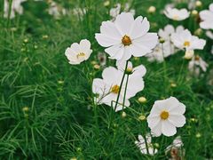 -江苏三台山国家森林公园