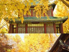 -颐和路民国时期公馆风貌区