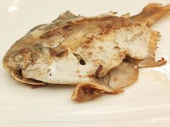 -黄埔华苑酒家(黄埔总店)