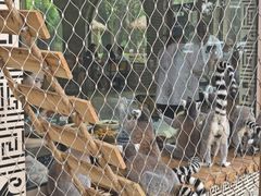 -秦皇岛野生动物园