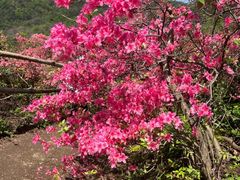 -木兰云雾山