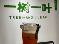 -一树一叶·福建茶档(石鼓路店)