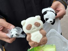 -都江堰中华大熊猫苑