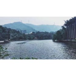 点击看大图 -爱帝宫月子中心(罗湖别墅院)