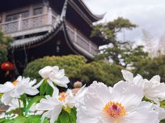 -龙华寺