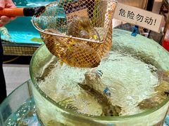 -强记海鲜·大排档(蛇口新街店)
