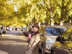 -三里屯东五街银杏大道