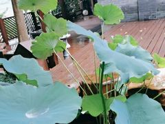 -花锦堂·隐庐